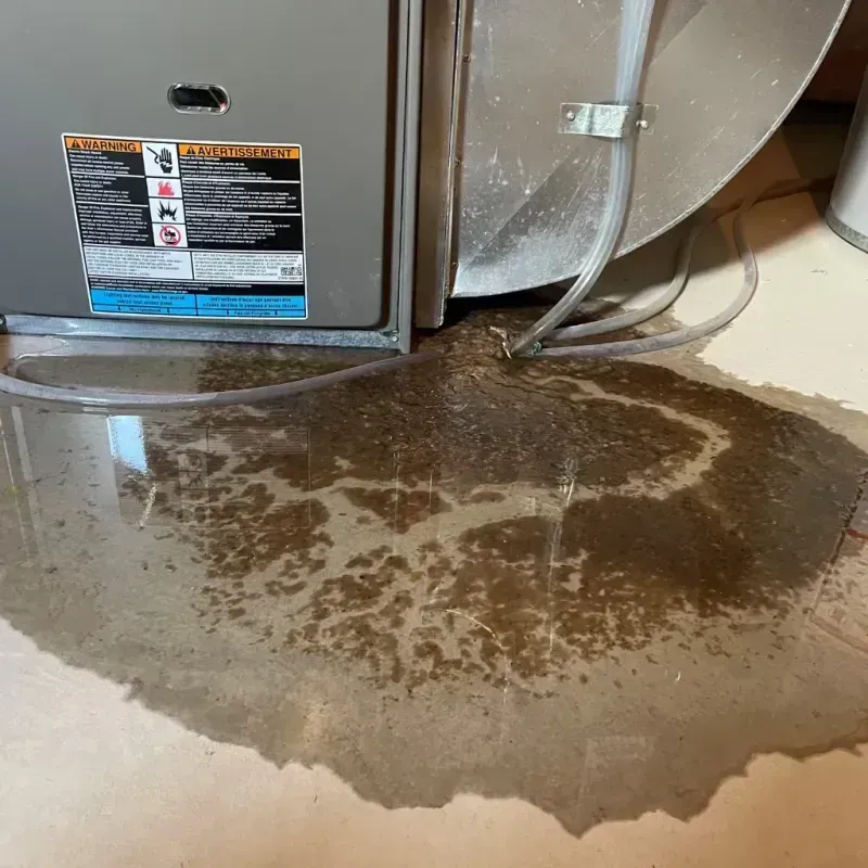 Appliance Leak Cleanup in Ormond Beach, FL